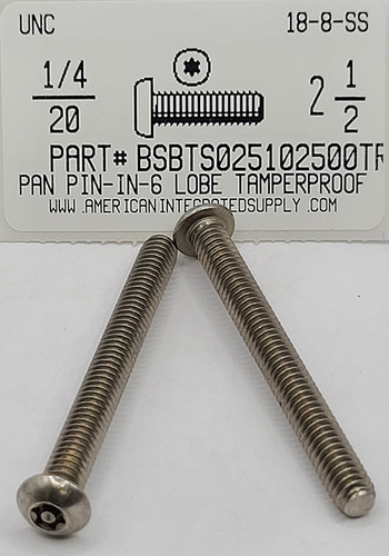 1/4-20X2-1/2 BUTTON HEAD PIN-IN-6 LOBE CAP SCREW 18-8 STAINLESS STEEL T27 DRIVE