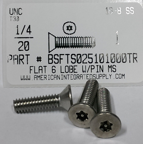 1/4-20X1 FLAT HEAD 6 LOBE T30 DRIVE WITH PIN CAP SCREW 18-8 STAINLESS STEEL